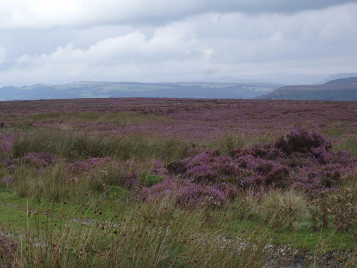 Holiday home Hillside *